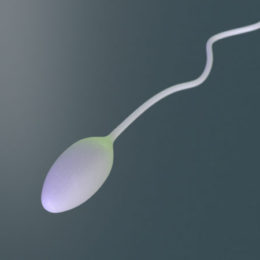 Sperma: i consigli per avere spermatozoi vitali e reattivi