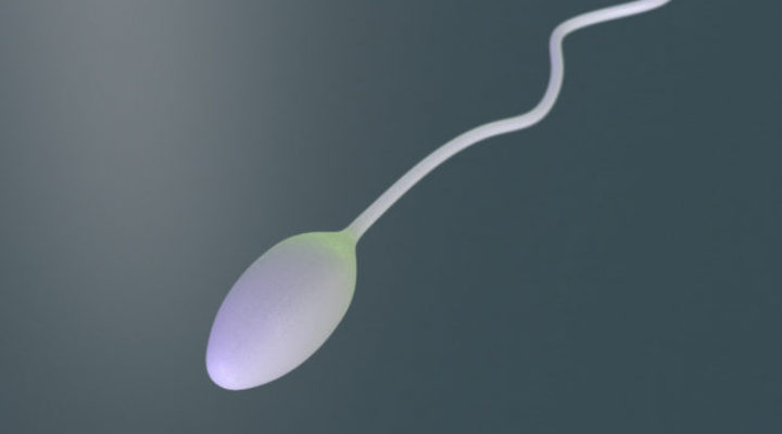 Sperma: i consigli per avere spermatozoi vitali e reattivi