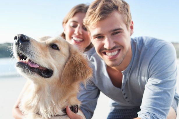 Se hai un bel cane con te il rimorchio è sicuramente più facile