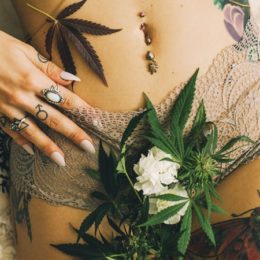 Porno e marijuana sono la nuova tendenza in corso in USA