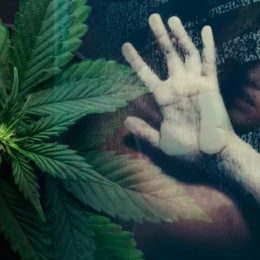 Sesso e marijuana: quali sono gli effetti positivi e quelli negativi tra cannabinoidi e sfera erotica