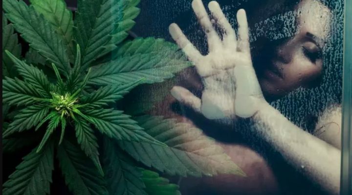 Sesso e marijuana: quali sono gli effetti positivi e quelli negativi tra cannabinoidi e sfera erotica